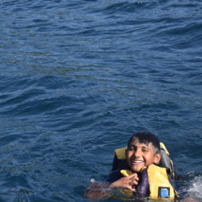 Fall off or&nbsp;Fly?