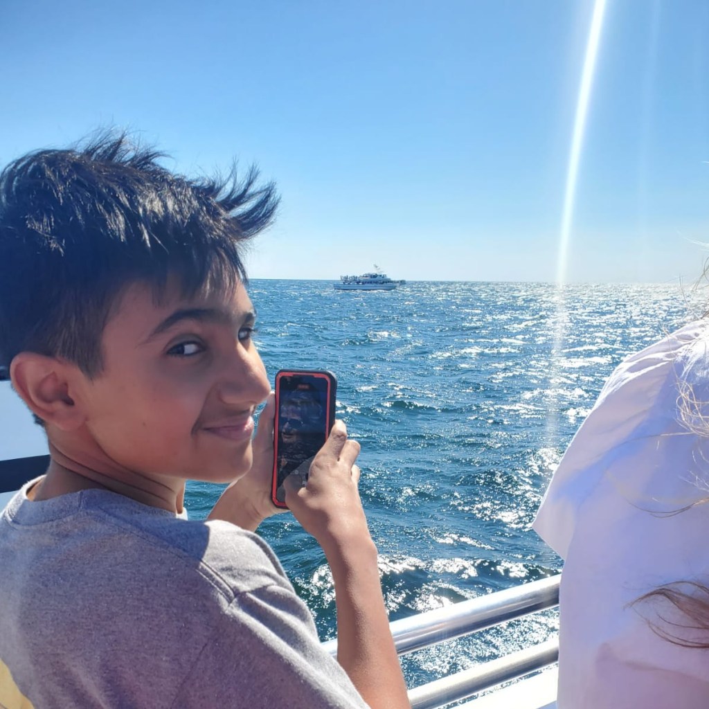 Whale Watching at Stellwagen&nbsp;Sanctuary